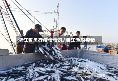 浙江省鱼行疫情情况/浙江渔船疫情-第2张图片