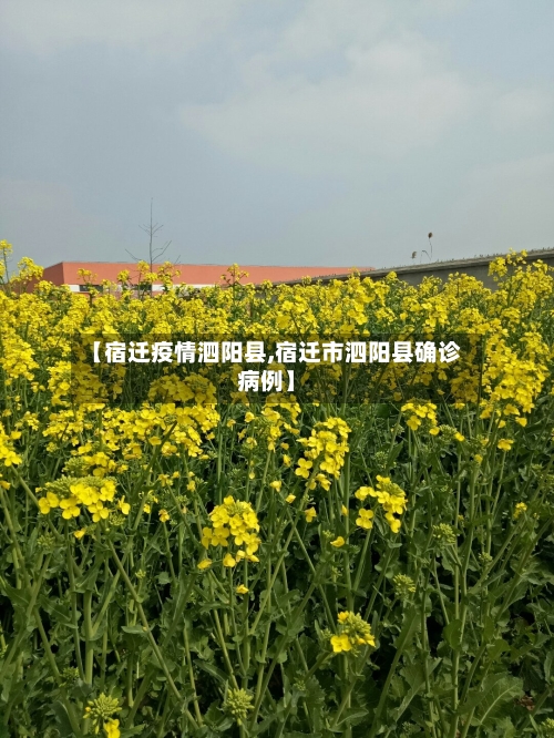 【宿迁疫情泗阳县,宿迁市泗阳县确诊病例】