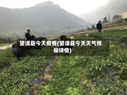 望谟县今天疫情(望谟县今天天气预报详情)