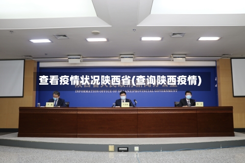 查看疫情状况陕西省(查询陕西疫情)-第2张图片
