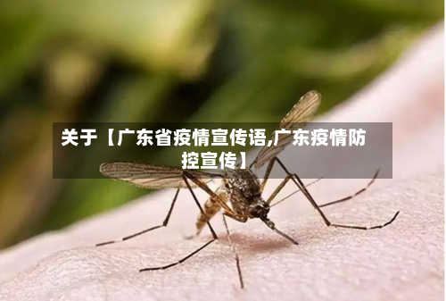 关于【广东省疫情宣传语,广东疫情防控宣传】-第3张图片