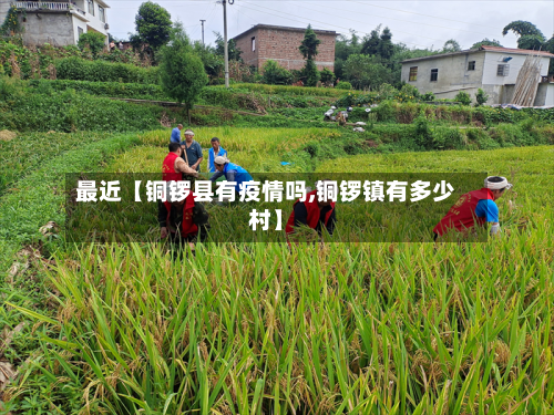 最近【铜锣县有疫情吗,铜锣镇有多少村】-第2张图片