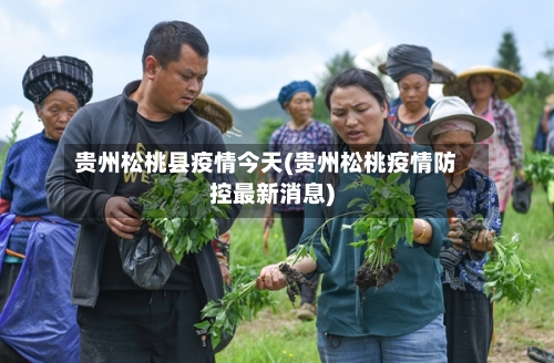 贵州松桃县疫情今天(贵州松桃疫情防控最新消息)