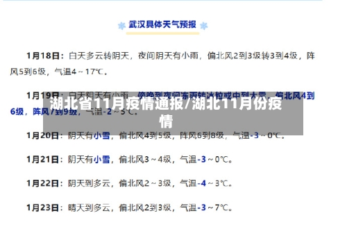 湖北省11月疫情通报/湖北11月份疫情