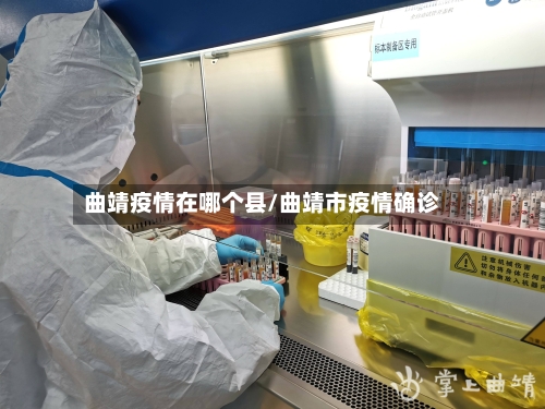 曲靖疫情在哪个县/曲靖市疫情确诊-第2张图片
