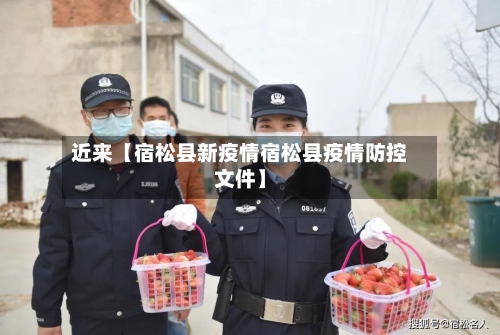 近来【宿松县新疫情宿松县疫情防控文件】-第2张图片