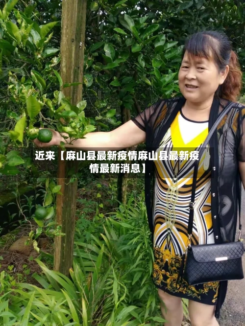 近来【麻山县最新疫情麻山县最新疫情最新消息】-第3张图片