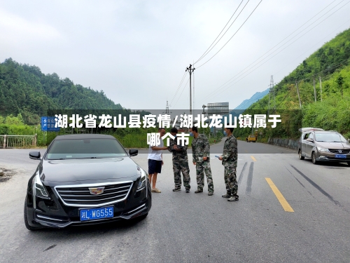 湖北省龙山县疫情/湖北龙山镇属于哪个市