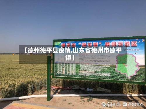 【德州德平县疫情,山东省德州市德平镇】