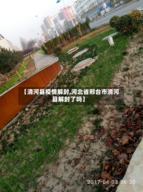 【清河县疫情解封,河北省邢台市清河县解封了吗】