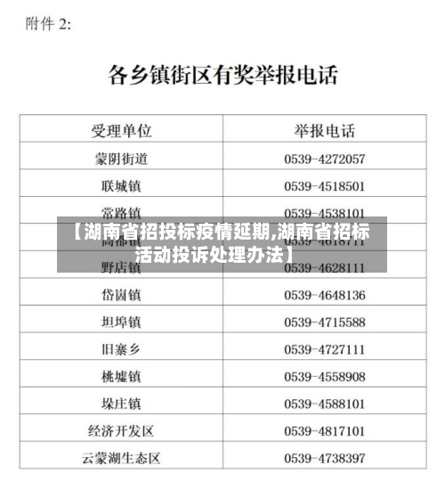 【湖南省招投标疫情延期,湖南省招标活动投诉处理办法】-第2张图片