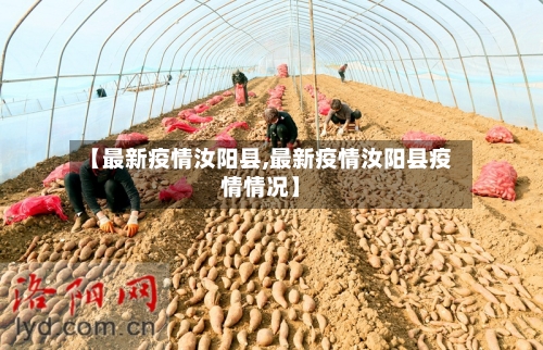 【最新疫情汝阳县,最新疫情汝阳县疫情情况】