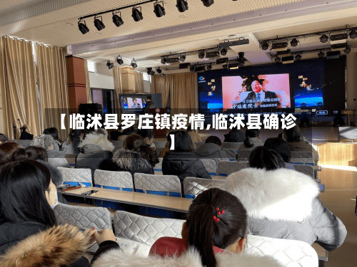 【临沭县罗庄镇疫情,临沭县确诊】