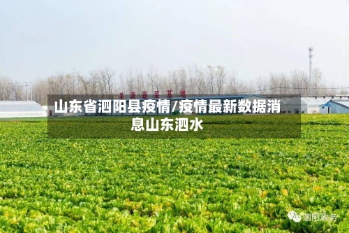 山东省泗阳县疫情/疫情最新数据消息山东泗水