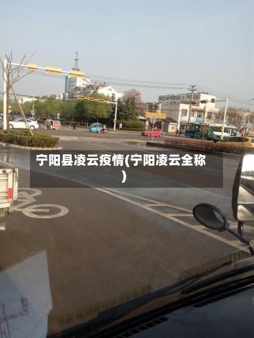 宁阳县凌云疫情(宁阳凌云全称)