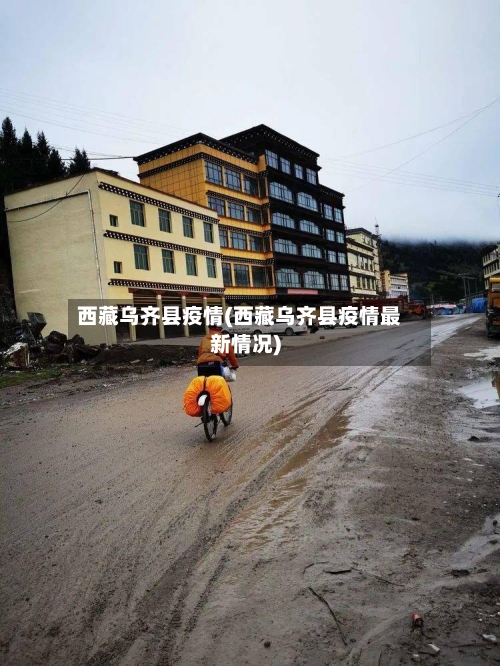 西藏乌齐县疫情(西藏乌齐县疫情最新情况)