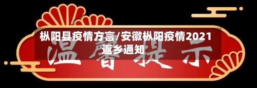 枞阳县疫情方言/安徽枞阳疫情2021返乡通知-第3张图片