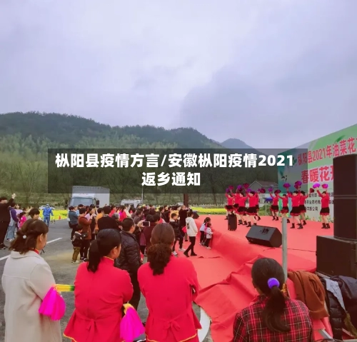 枞阳县疫情方言/安徽枞阳疫情2021返乡通知-第2张图片