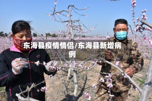东海县疫情情侣/东海县新增病例-第2张图片