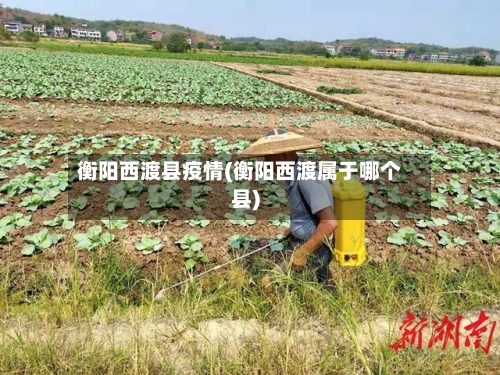 衡阳西渡县疫情(衡阳西渡属于哪个县)