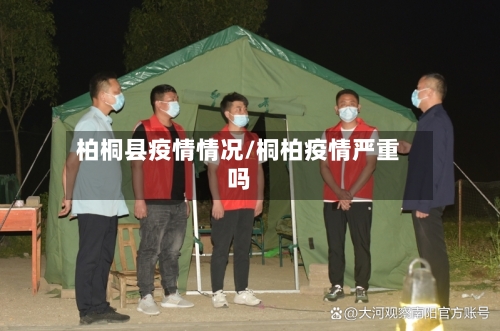 柏桐县疫情情况/桐柏疫情严重吗