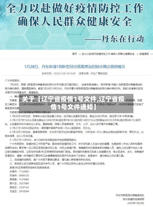 关于【辽宁省疫情1号文件,辽宁省疫情1号文件通知】-第3张图片