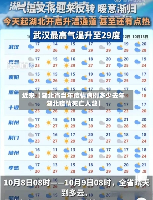 近来【湖北省当年疫情病例多少去年湖北疫情死亡人数】