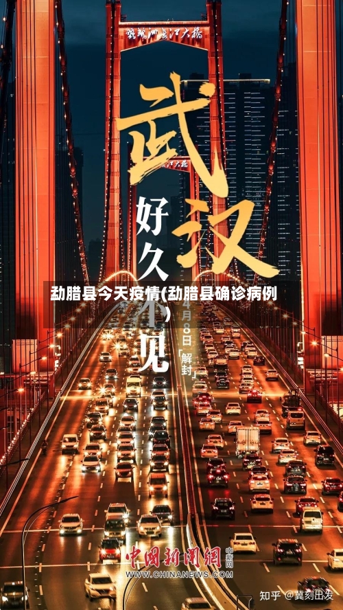 勐腊县今天疫情(勐腊县确诊病例)-第2张图片