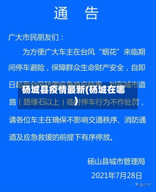 砀城县疫情最新(砀城在哪)