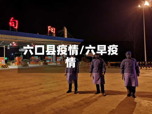 六口县疫情/六早疫情
