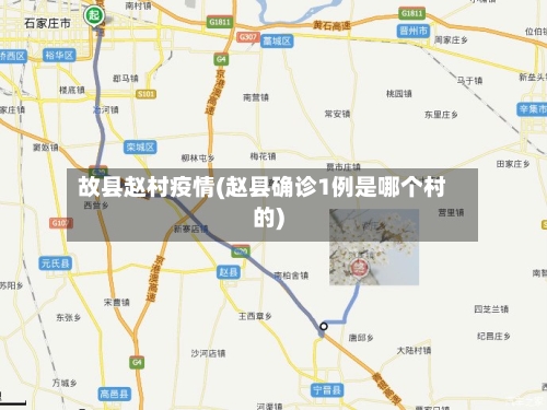 故县赵村疫情(赵县确诊1例是哪个村的)-第2张图片