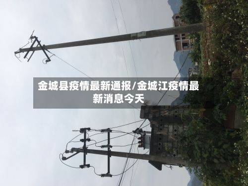 金城县疫情最新通报/金城江疫情最新消息今天