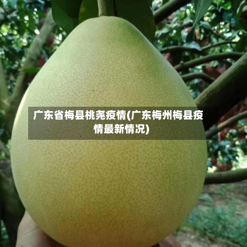 广东省梅县桃尧疫情(广东梅州梅县疫情最新情况)-第2张图片