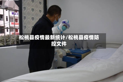 松桃县疫情最新统计/松桃县疫情防控文件-第2张图片