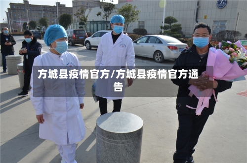 方城县疫情官方/方城县疫情官方通告-第2张图片