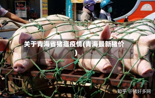 关于青海省猪瘟疫情(青海最新猪价)