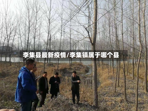 李集县最新疫情/李集镇属于哪个县-第2张图片