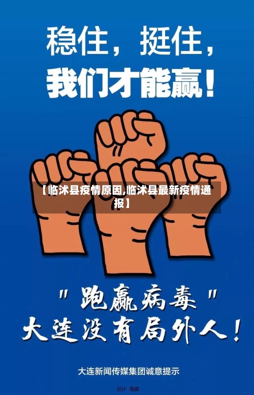 【临沭县疫情原因,临沭县最新疫情通报】-第3张图片