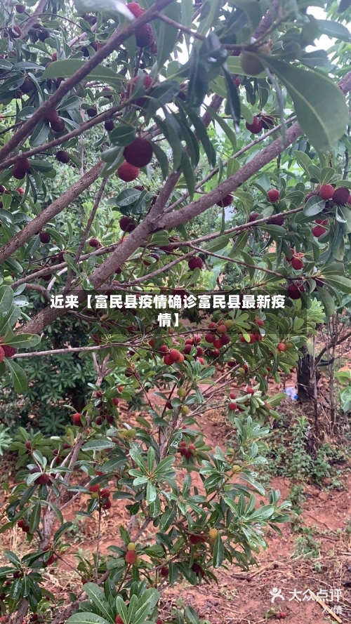 近来【富民县疫情确诊富民县最新疫情】-第2张图片