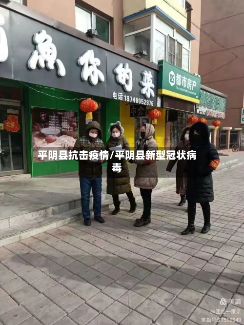 平阴县抗击疫情/平阴县新型冠状病毒-第2张图片
