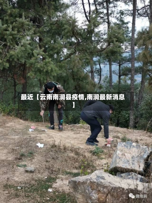 最近【云南南涧县疫情,南涧最新消息】-第2张图片