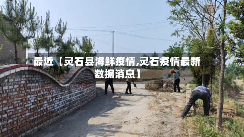 最近【灵石县海鲜疫情,灵石疫情最新数据消息】-第2张图片