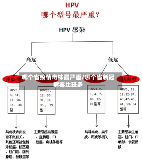哪个省疫情毒株最严重/哪个省新冠病毒比较多-第2张图片