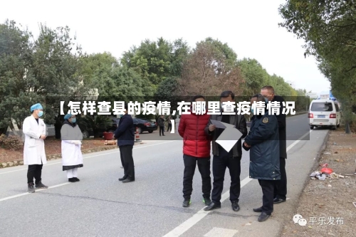 【怎样查县的疫情,在哪里查疫情情况】