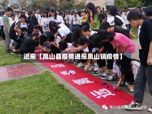 近来【凤山县疫情通报凤山镇疫情】