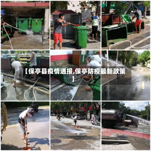 【保亭县疫情通报,保亭防疫最新政策】-第2张图片