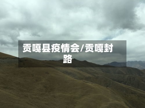 贡嘎县疫情会/贡嘎封路