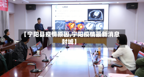 【宁阳县疫情原因,宁阳疫情最新消息封城】-第2张图片