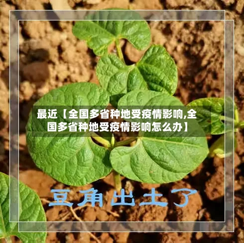 最近【全国多省种地受疫情影响,全国多省种地受疫情影响怎么办】-第3张图片