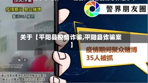 关于【平阳县疫情诈骗,平阳县诈骗案】